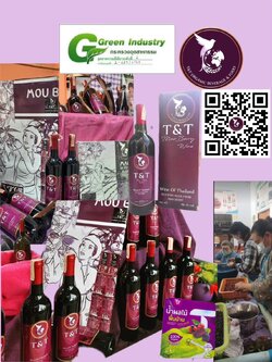 หมากเม่า GI ภูพาน แปรรูปเป็น"ไวน์"ราคาพิเศษ 2 ขวดฟรีค่าส่ง