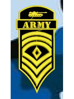 ARMY BADGES