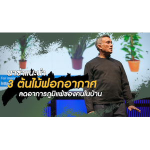 นาซ่าแนะนำปลูก “3 ต้นไม้ฟอกอากาศ” ลดอาการภูมิแพ้ของคนในบ้าน