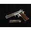 SPRINGFIELD SV ( YB19-0527 )
