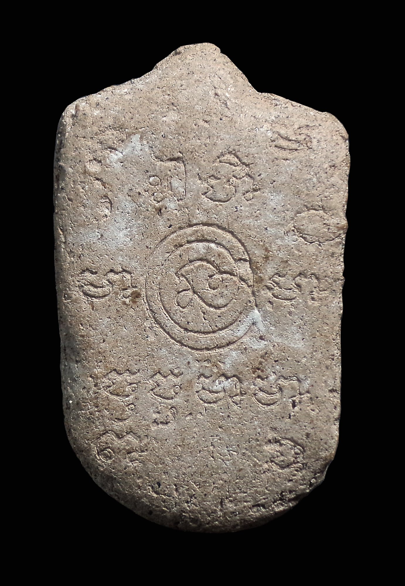 จิ้งจก 2หาง หลังยันต์