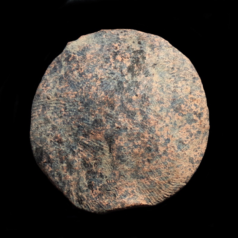 ดอกพระธาตุ กรุลำพูน