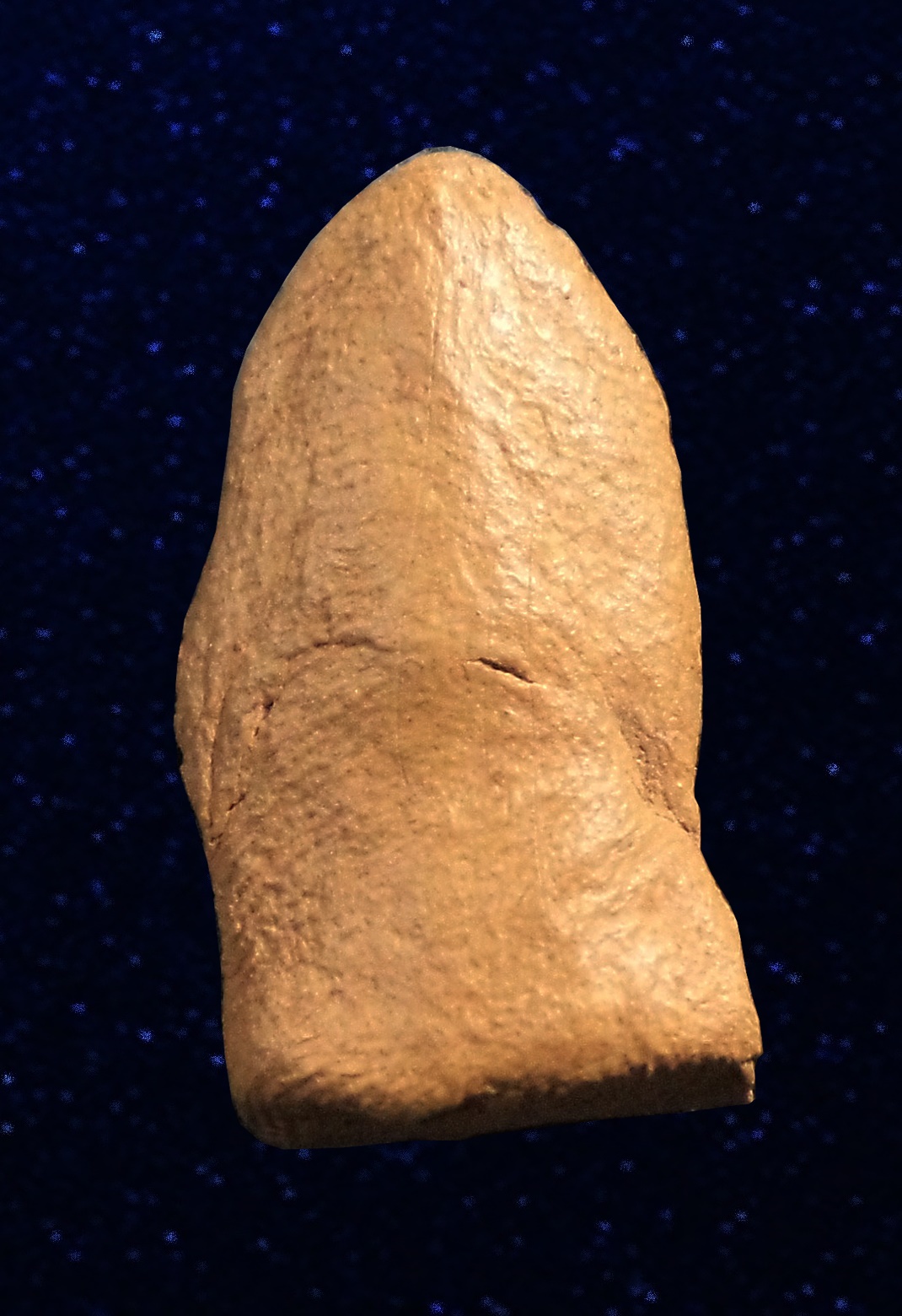 พระรอด วัดพระสิงห์ เชียงใหม่ ปี 2496