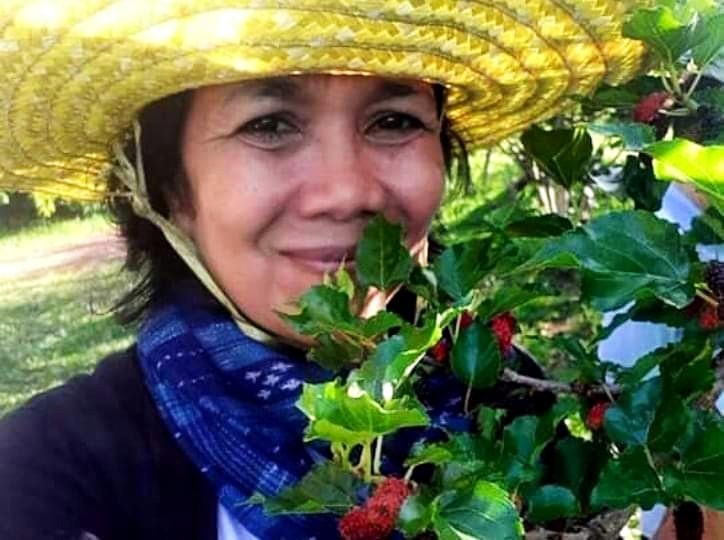 หมากเม่าไวน์ราคา B2B/ขายส่ง มีโปรโมชั่นบริการส่งตามความต้องการ(ราคานี้ไม่รวมค่าส่ง)