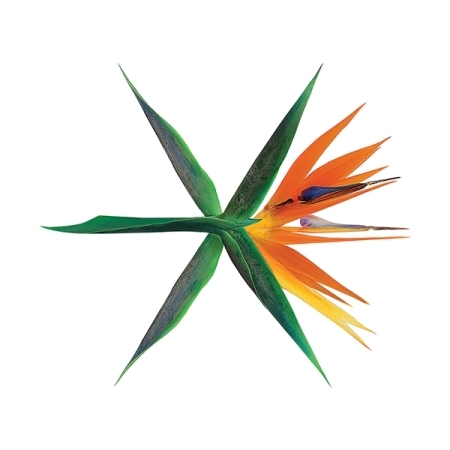 ( Pre-Order ) EXO 4th Album THE WAR + Poster ( Korean Ver. ) random cover วางจำหน่าย 20 / 7 / 2017