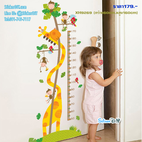 Transparent Wall Sticker สติ๊กเกอร์ติดผนัง วัดส่วนสูง Giraffe XH9269 (กว้าง60cm.xสูง160cm)
