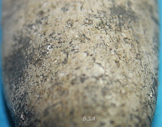 พระสมเด็จ วัดพลับ พิมพ์วันทาเสมา