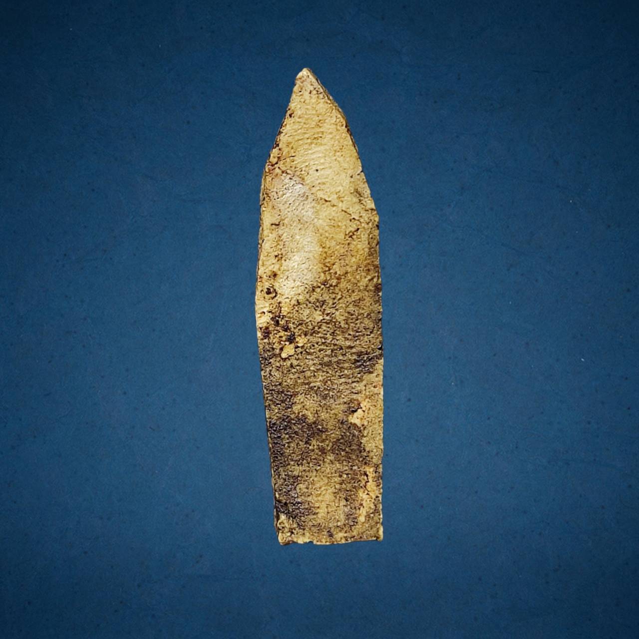 พระลีลา หลวงพ่อขัน วัดนกกระจาบ อยุธยา เนื้อผง