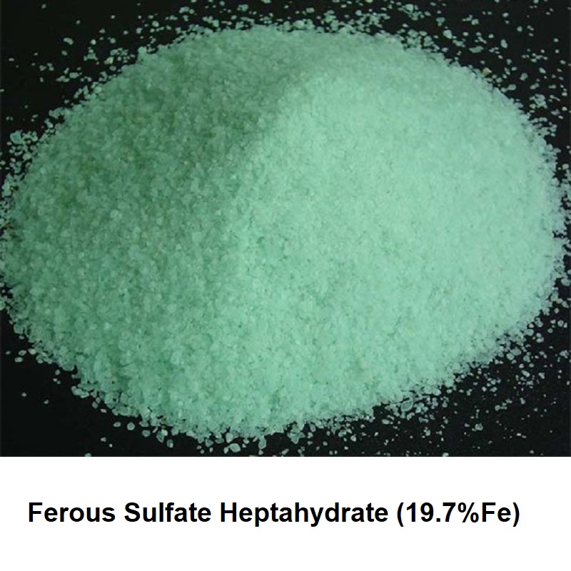 ผงจุลธาตุเหล็ก Ferous Sulfate Heptahydrate FeSO4.7H2O (19.7%Fe) บรรจุ 1 กิโลกรัม (R)
