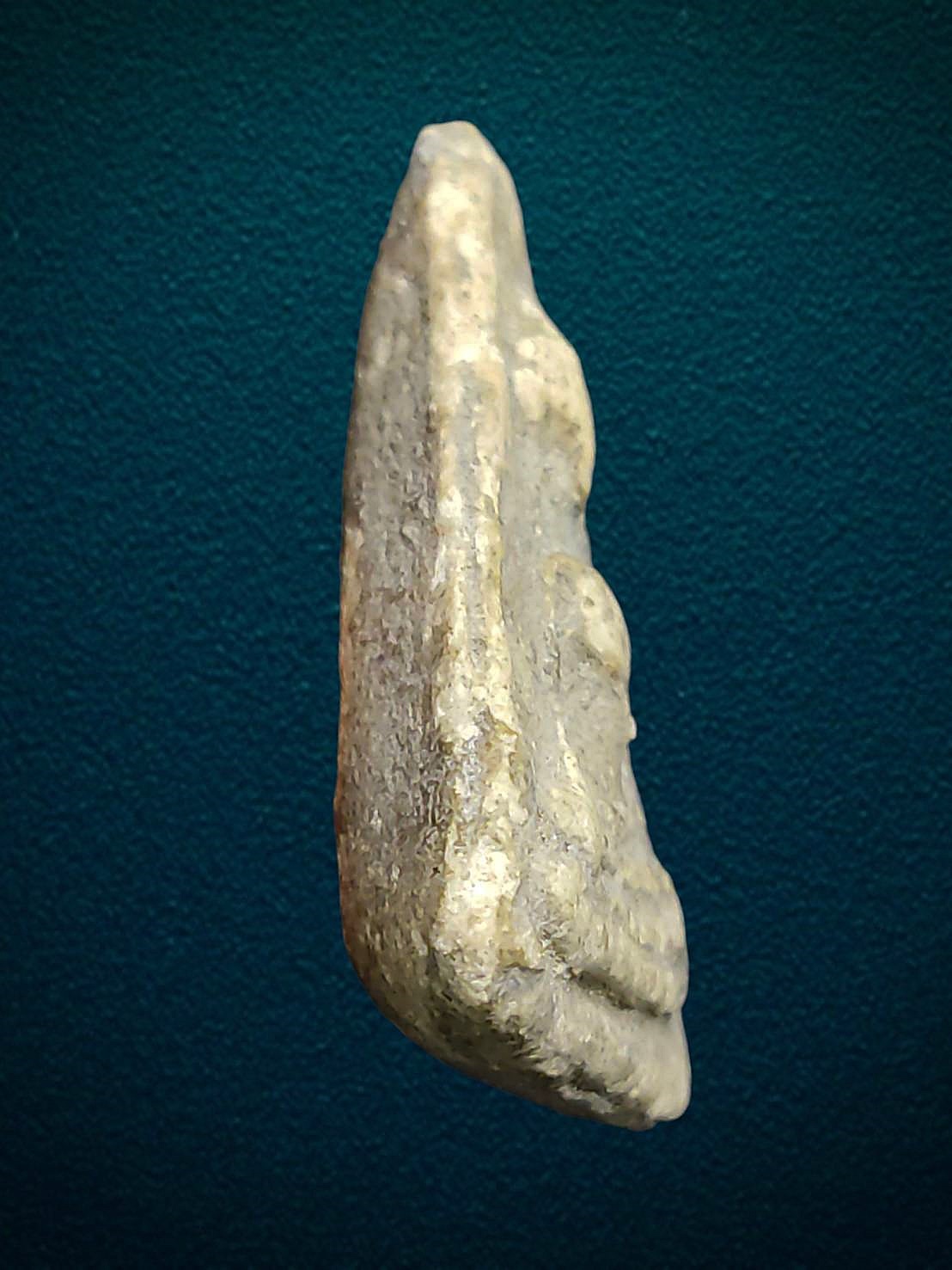 พระผงสุพรรณ หลวงปู่นาค วัดระฆัง กทม เนื้อผงพุทธคุณ