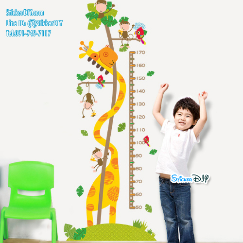 Transparent Wall Sticker สติ๊กเกอร์ติดผนัง วัดส่วนสูง Giraffe XH9269 (กว้าง60cm.xสูง160cm)
