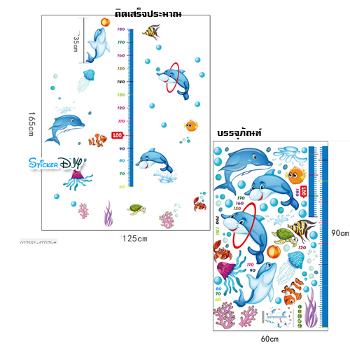 Transparent Wall Sticker สติ๊กเกอร์ติดผนัง วัดส่วนสูง Dolphin SK9034 (กว้าง125cm.xสูง165cm)