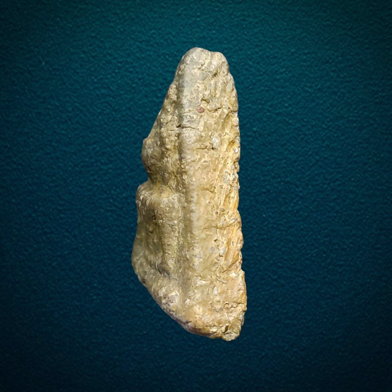 พระนางพญา พิษณุโลก พิมพ์สังฆาฏิ