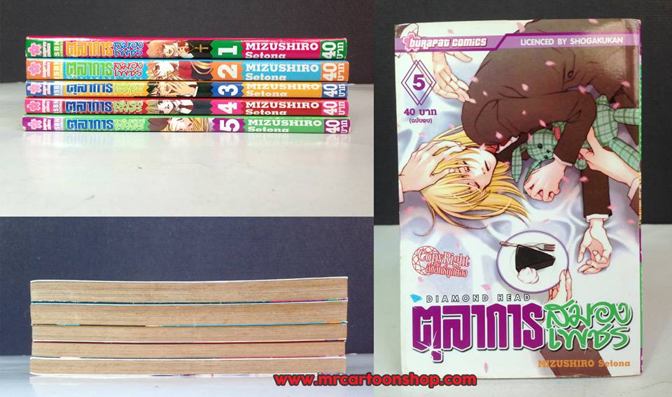 ตุลาการสมองเพชร 1-5 จบ