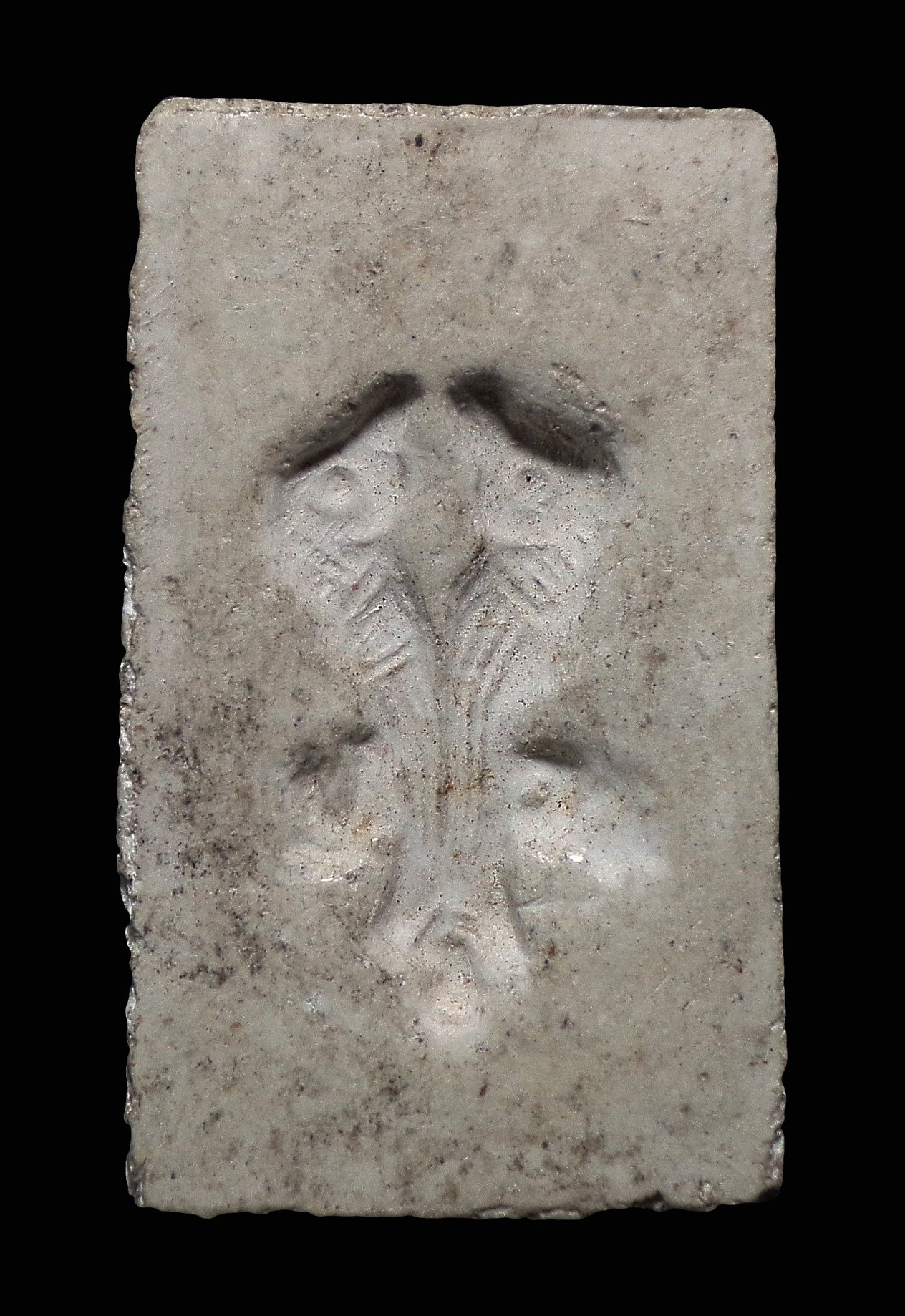 พระสมเด็จรุ่นแรก หลังสาริกา หลวงพ่อวงศ์ วัดปริวาส กทม. ปี2518