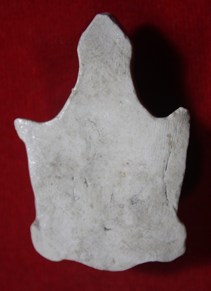 เศียรพ่อแก่ เนื้อเซรามิก แท้ไม่ทราบที่