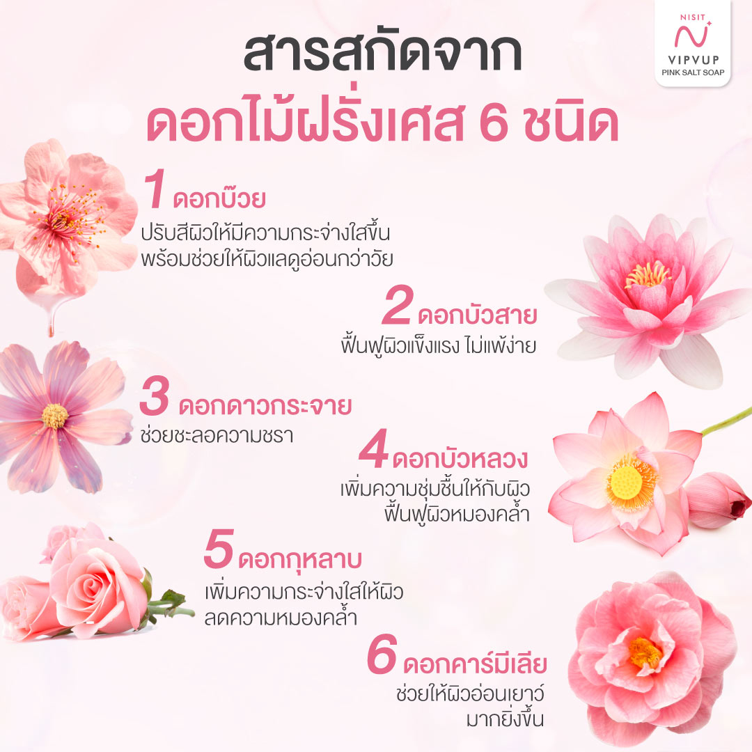 สบู่นิสิต [4 ก้อน] สบู่เกลือหิมาลายัน ตึง ใส สะอาด สบู่ล้างหน้า ผลัดเซลล์ผิวเก่า Nisit Soap
