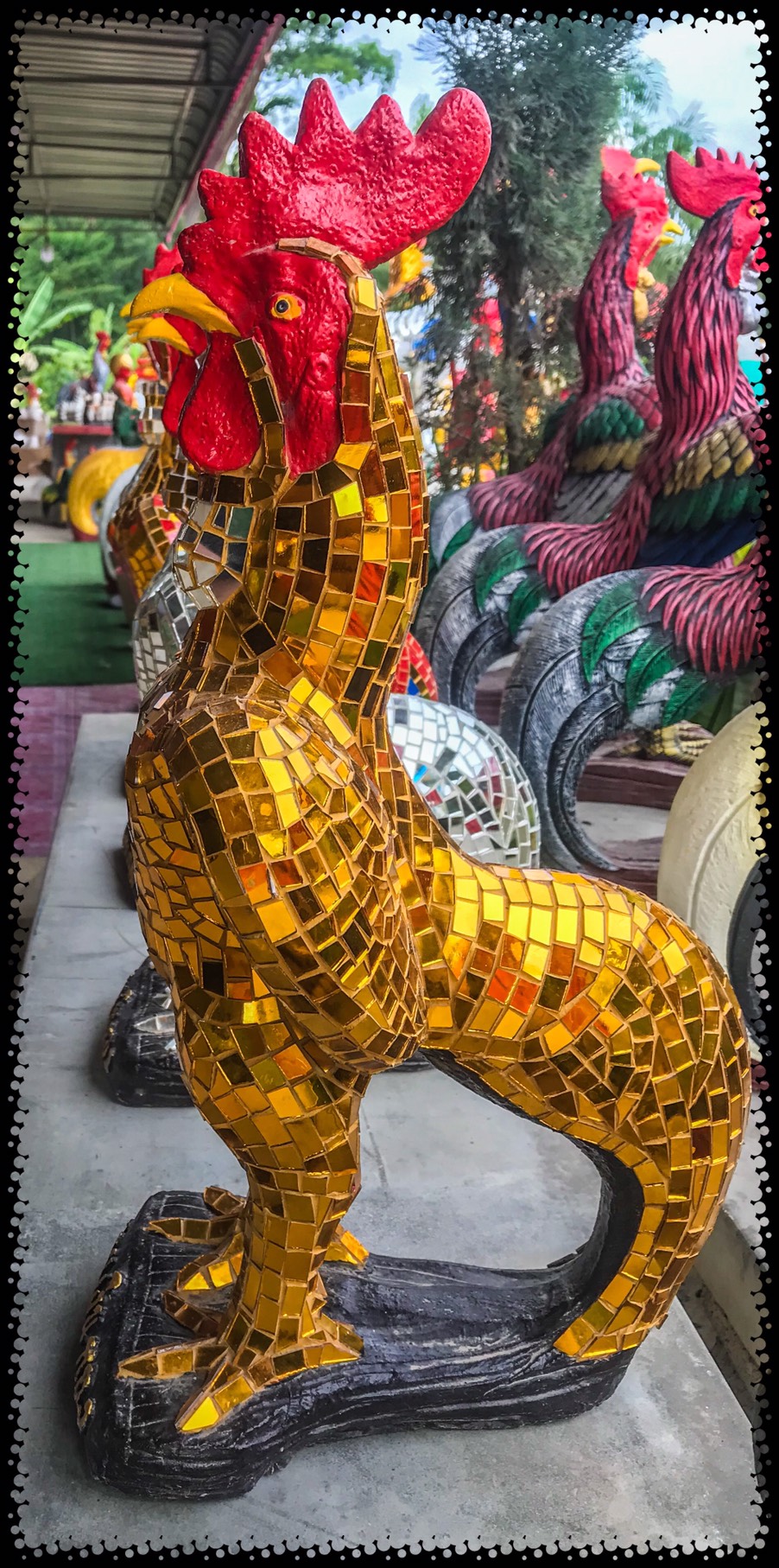 ไก่กระจกขนาด 55cm