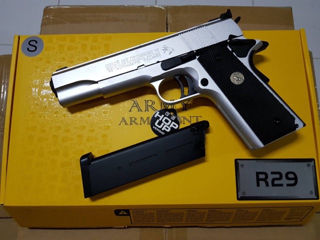 R29 SV