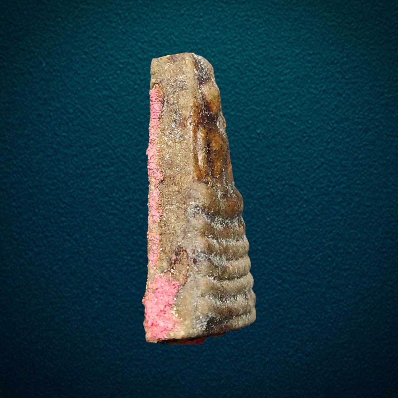 พระสมเด็จ หลวงพ่อเล็ก วัดทำนบ จังหวัดอ่างทอง เนื้อผง