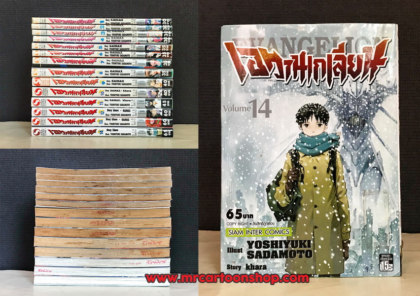 Evangelion 1-14