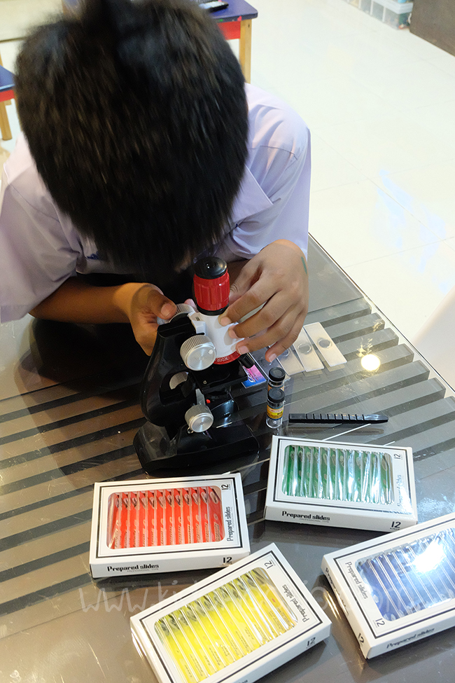 Slide สำหรับกล้อง Microscope (กล้องจุลทรรศน์)