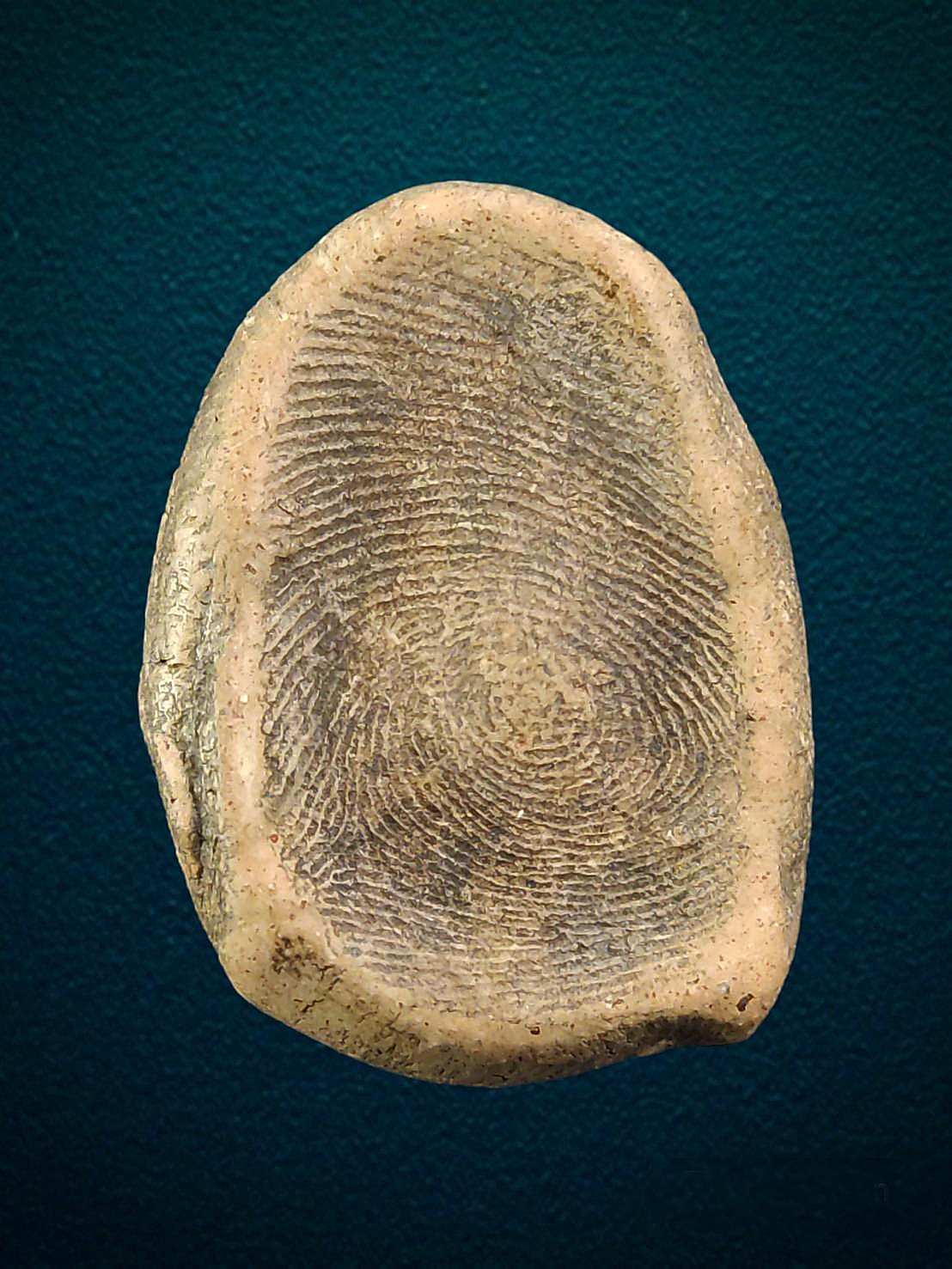 พระผงสุพรรณ กรุวัดสำปะซิว จ.สุพรรณบุรี ประมาณพุทธศตวรรษที่ 19-20