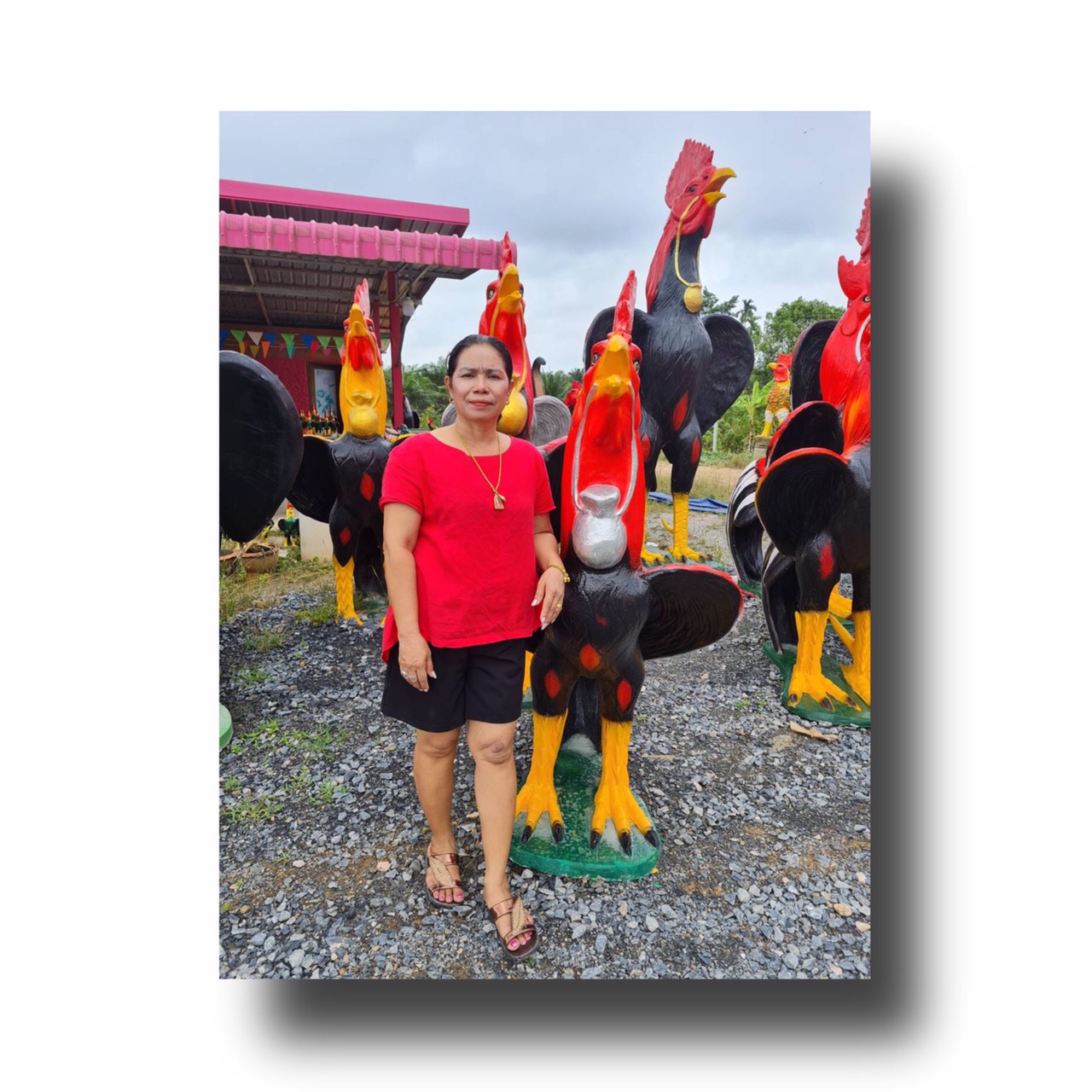 ไก่ปูนปั้นแก้บน-ถวายขอพรตาไข่วัดเจดีย์ ขนาด1.7เมตร