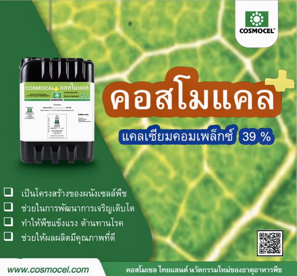Cosmocal คอสโมแคล แคลเซียม แอล-อะมิโนคีเลต 39%CaO (Cosmocel) บรรจุ 1000 ml