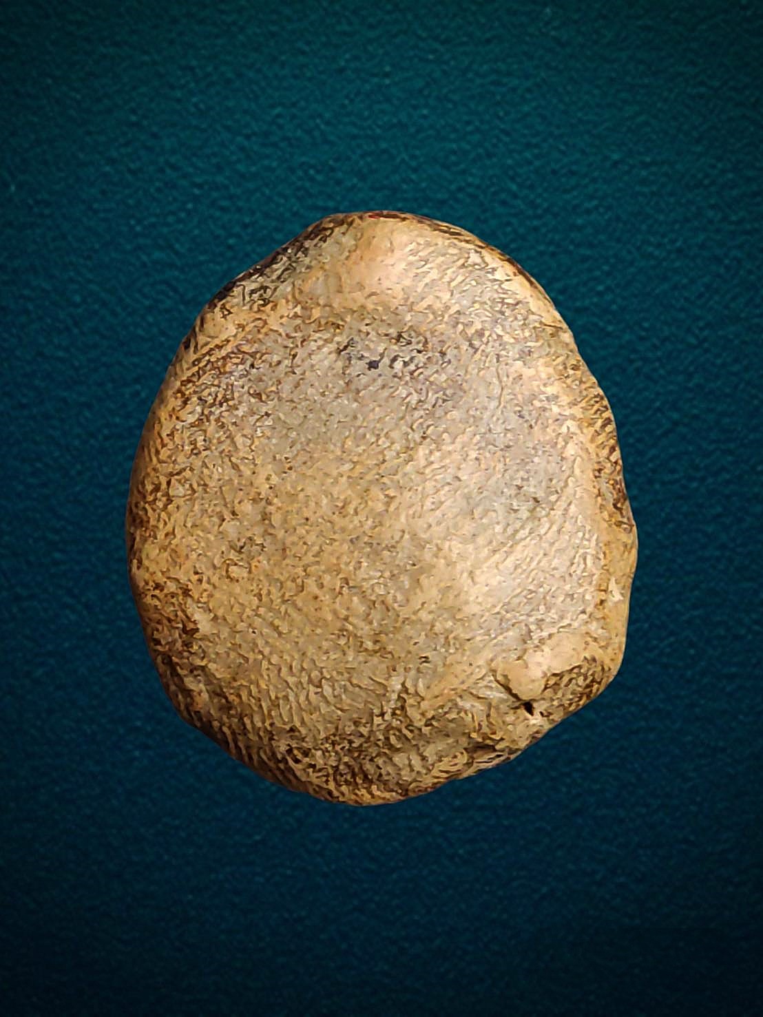 พระกำแพงซุ้มกอ พิมพ์ขนมเปี๊ย วัดพิกุล กำแพงเพชร