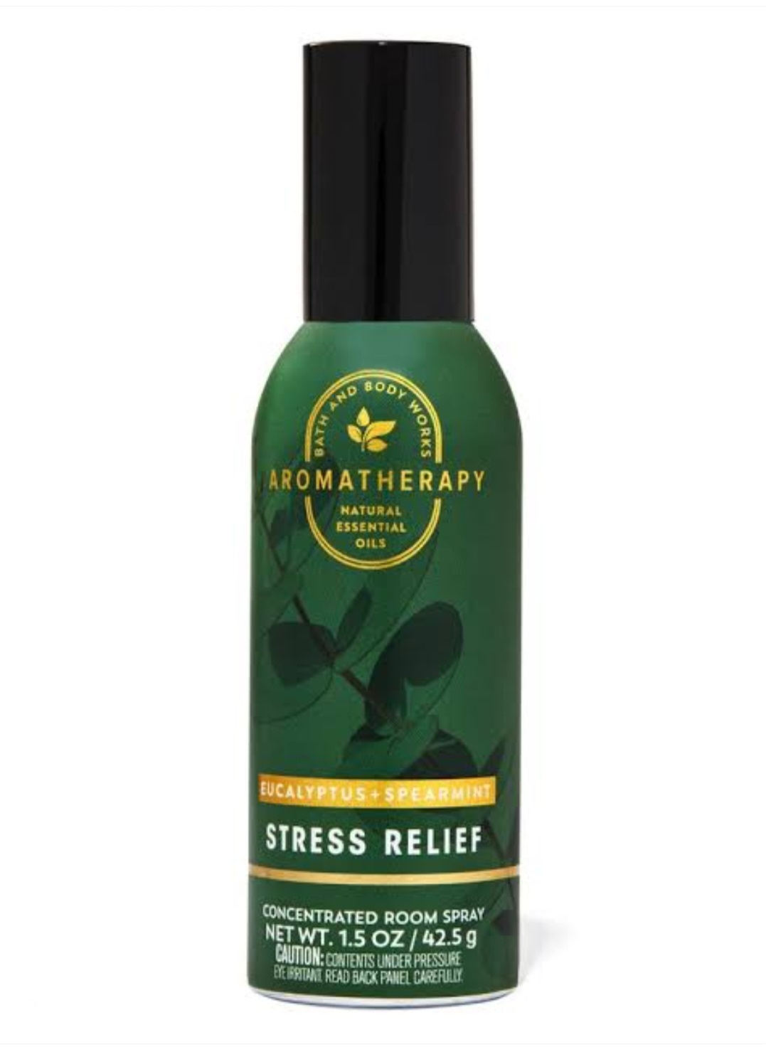 รุ่น Aromatherapy กลิ่น Eucalyptus Spearmint