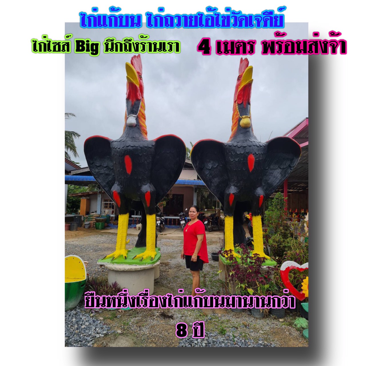 รูปปั้นไก่ชนแก้บนไซต์ยักษ์ขนาด4เมตร