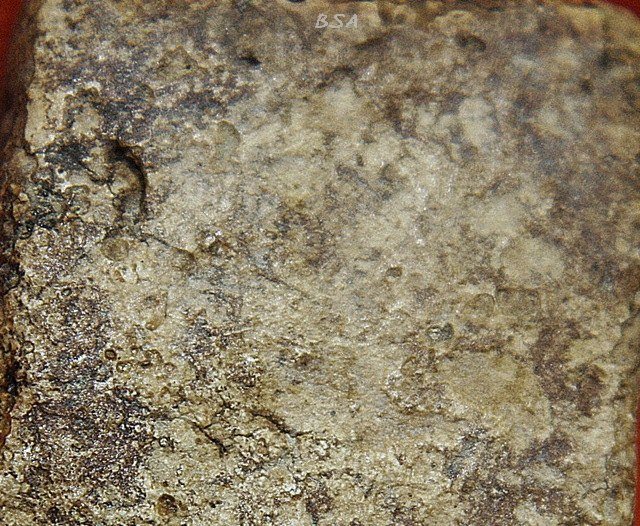 พระสมเด็จ บางขุนพรหม พิมพ์ปรกโพธ์