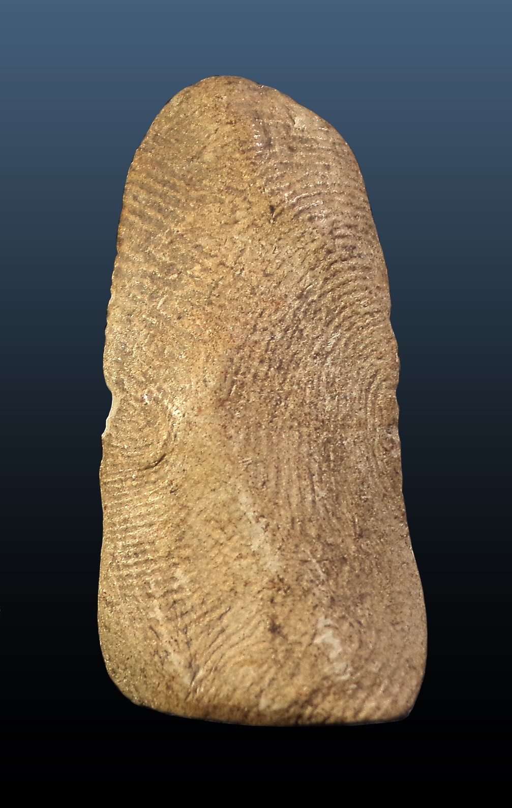 พระรอด พิมพ์ใหญ่ ลำพูน