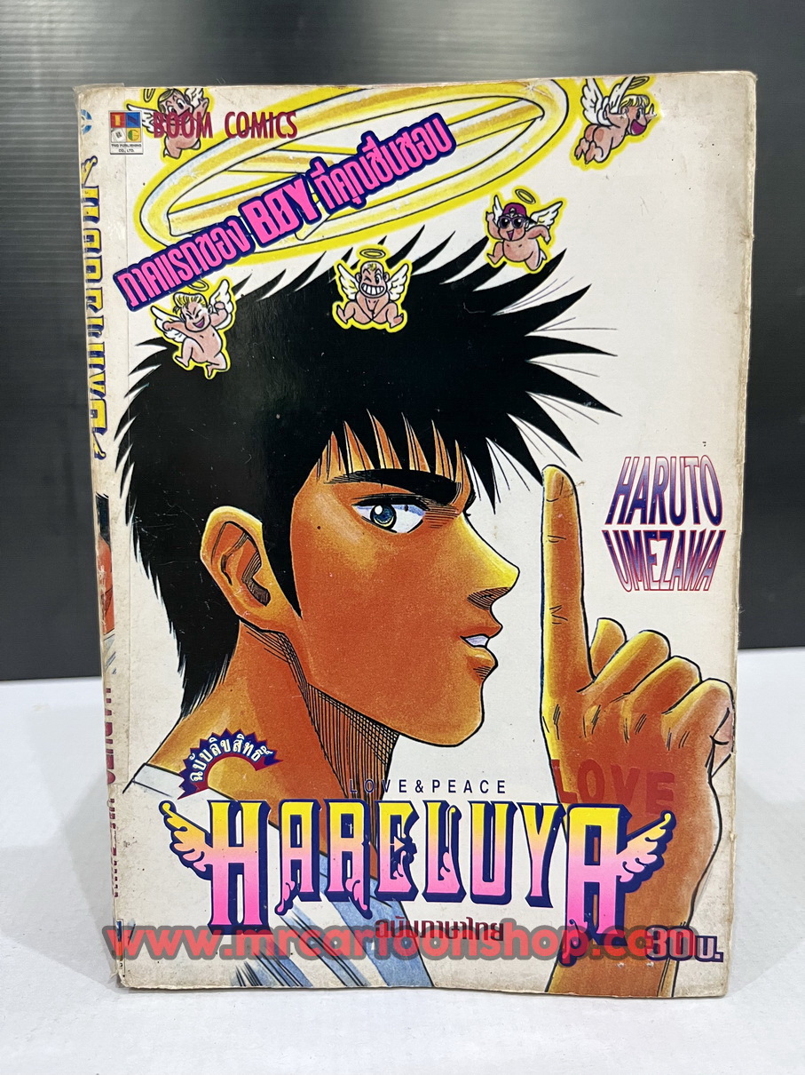 Boy II Hareluya 1-33 จบ + เล่มพิเศษ