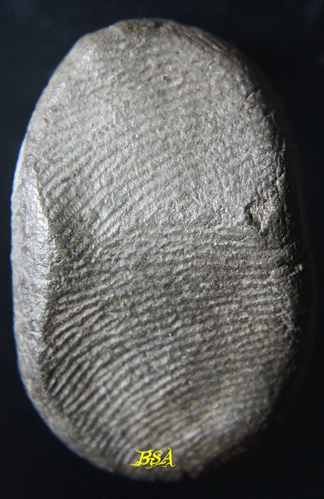 พระเนื้อดิน ไม่ทราบที่