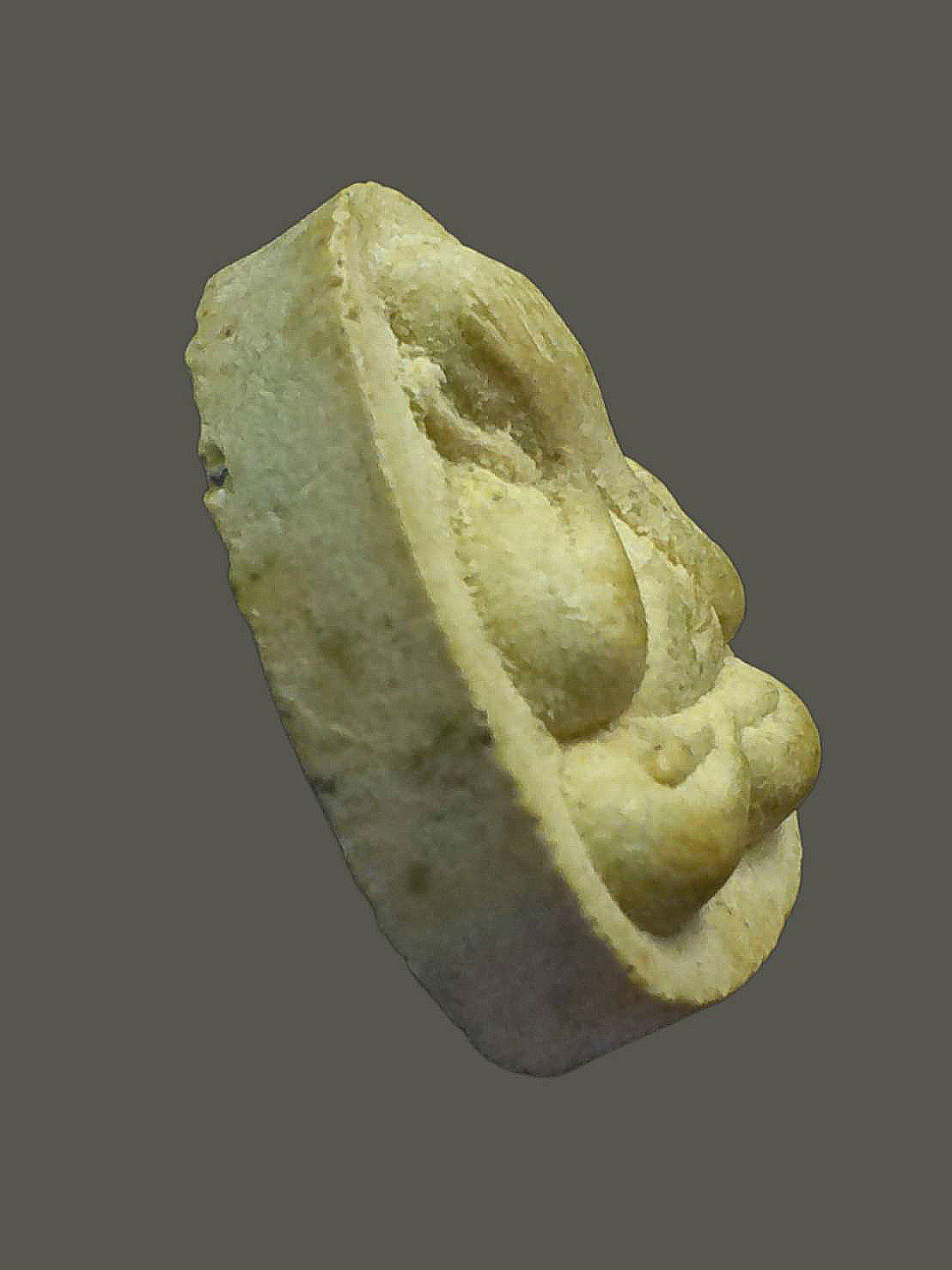 พระปิดตาเล็กหลังราหู ว.อ. หลวงพ่อแดง นันทิโย วัดอินทาราม สมุทรสงคราม ปี 2538