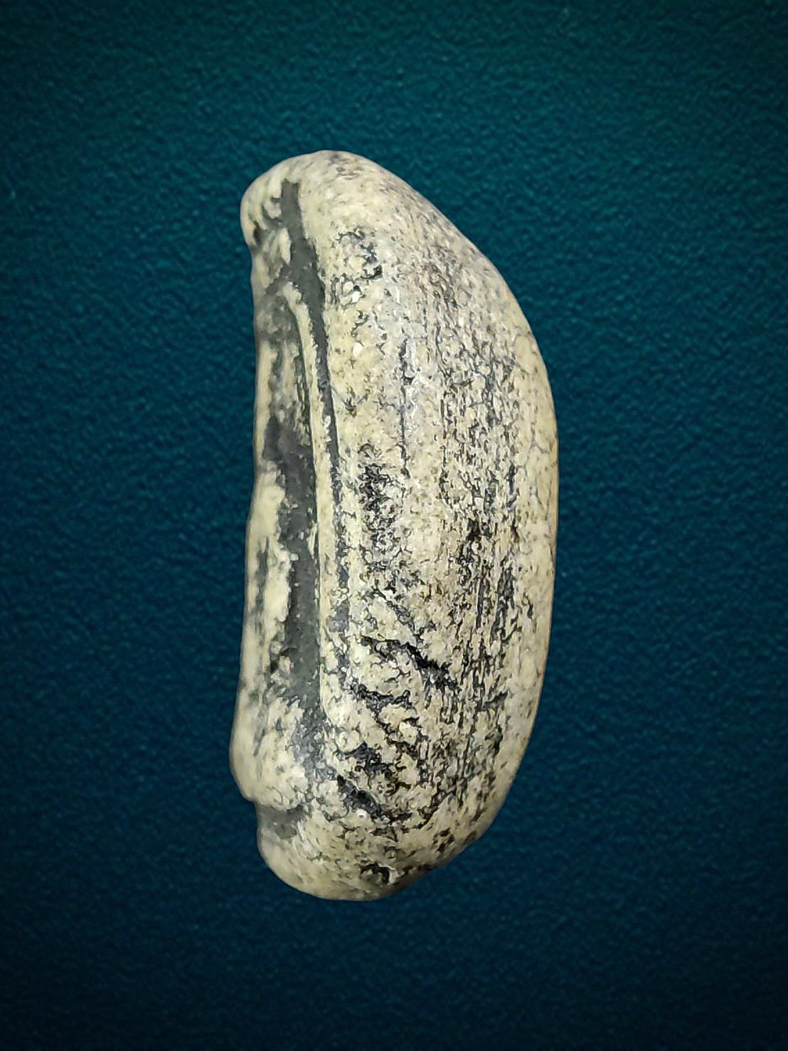 พระสมเด็จพิมพ์ใหญ่เศียรโต หลวงปู่นาค วัดระฆัง กทม