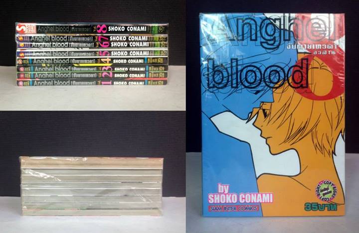 Anghel Blood จับตายเทวดา 1-8 จบ