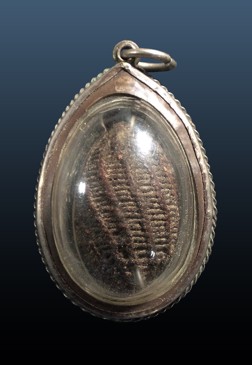 หมากทุย