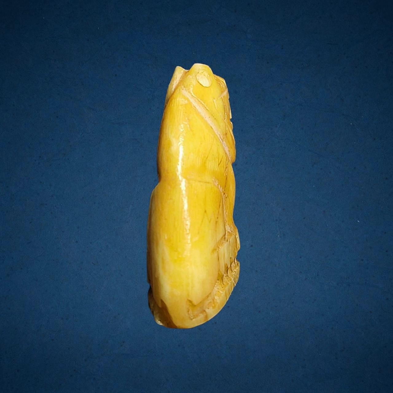 เสืองานแกะ ไม่ทราบที่ มีจารรอบ