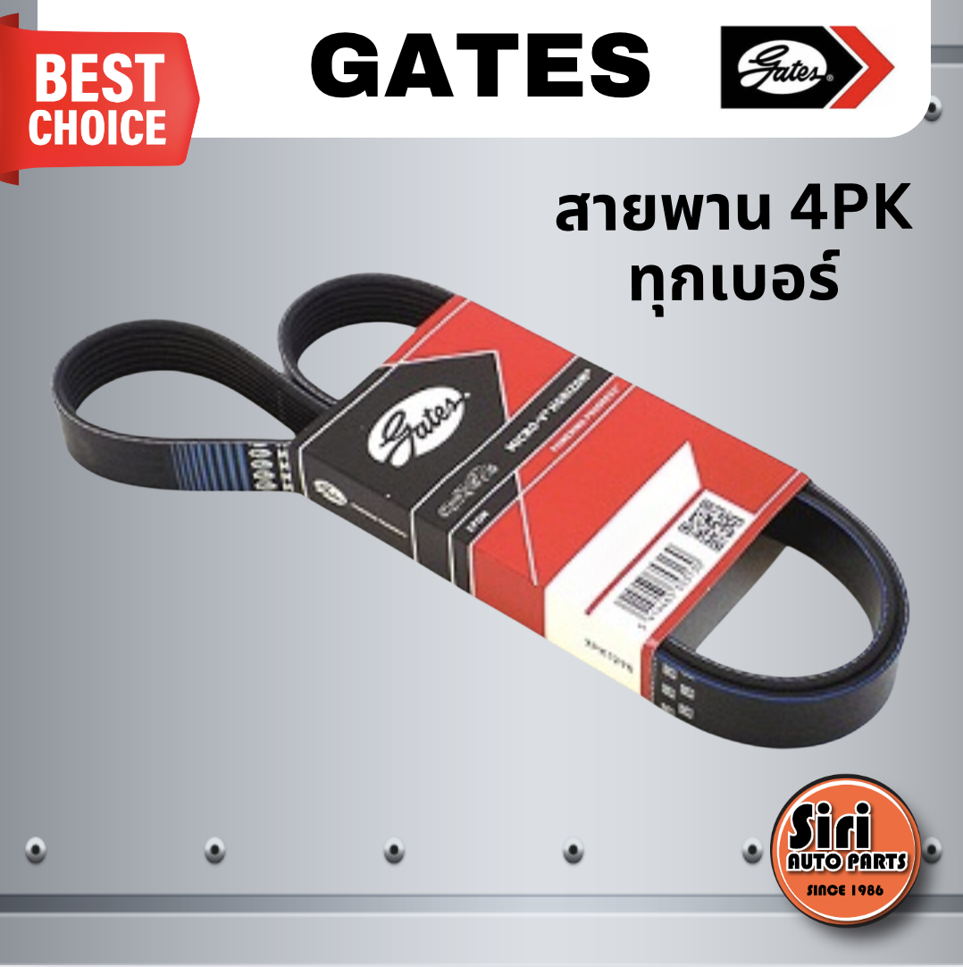 Gates สายพาน 4PK เบอร์ 4PK620-4PK1300 ยี่ห้อ GATES / MICRO-V