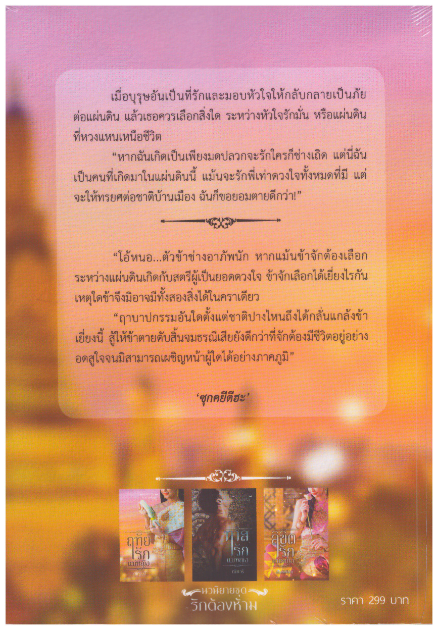 นวนิยายชุด รักต้องห้าม รวม 3 เล่ม( ฤทัยรักแม่หญิง,ทาสรักแม่หญิง ,ลิขิตรักแม่หญิง) (NC18+) / ณกุณช์ ณิการ์ พิมพ์พิชญ์ (ทำมือ ใหม่ แถมฟรีปกพลาสติกใส)