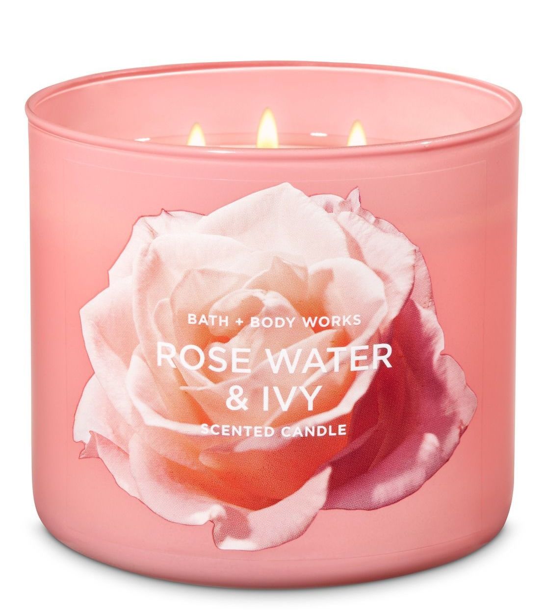Rose Water & Ivy