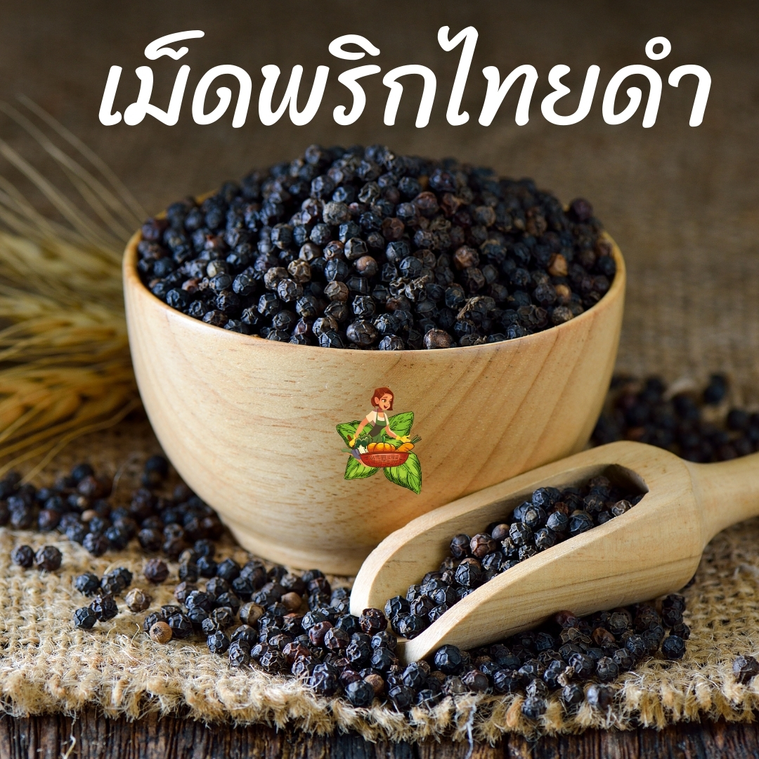 เม็ดพริกไทยดำ ขนาด 100กรัม 250กรัม 500กรัม 1กิโลกรัม
