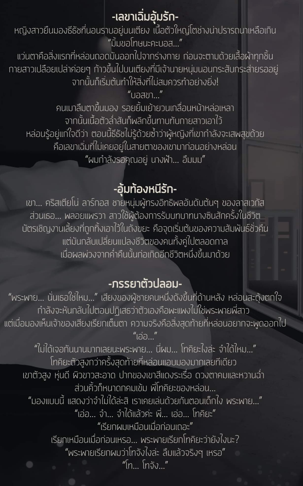 Erotic Stories ชุด6 เลขาเฉิ่มอุ้มรัก,อุ้มท้องหนีรัก,ภรรยาตัวปลอม(NC 30+)/ เนื้อนวล (Baiboau) (ทำมือ - ใหม่ แถมปกพลาสติก)