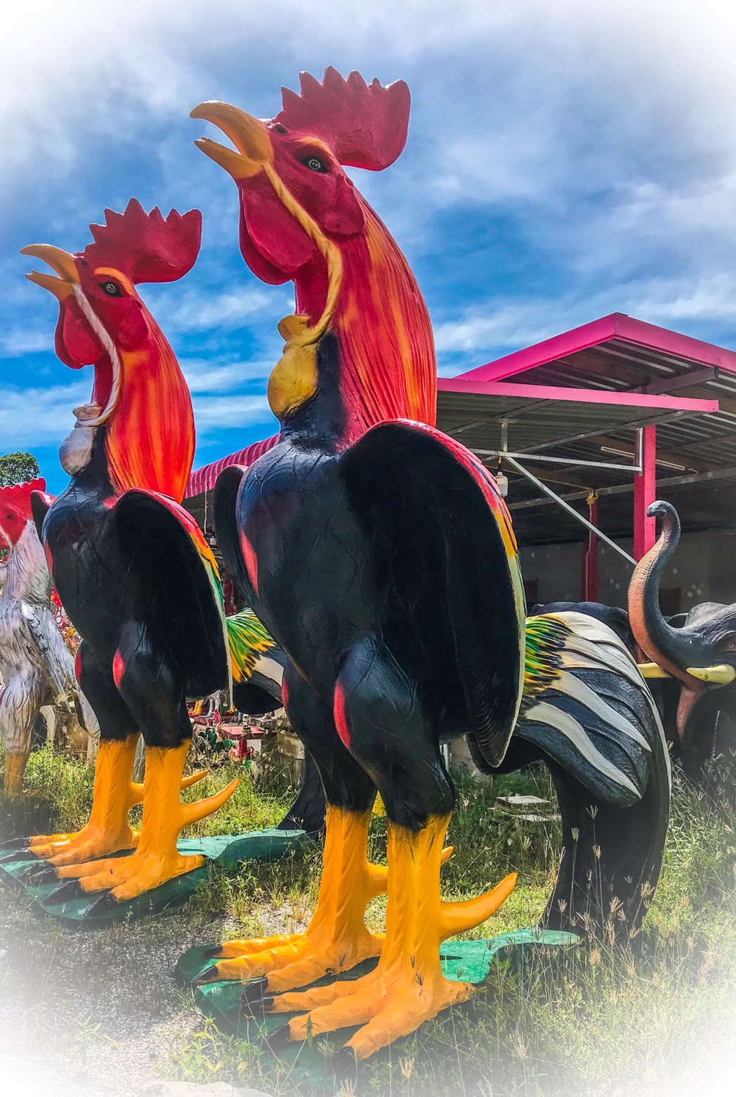 ไก่ปูนปั้นถวายแก้บน-ขอพรตาไข่วัดเจดีย์ ขนาด3.5 เมตร