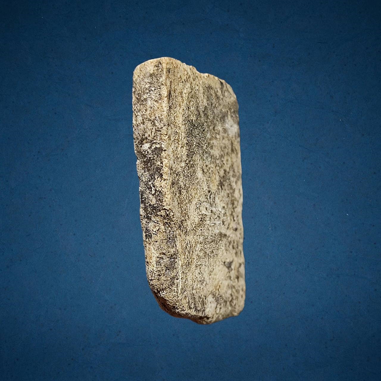 พระสมเด็จรุ่นแรก พิมพ์ประภามณฑล หลวงพ่อรวย วัดตะโก จ .อยุธยา ปี 2498