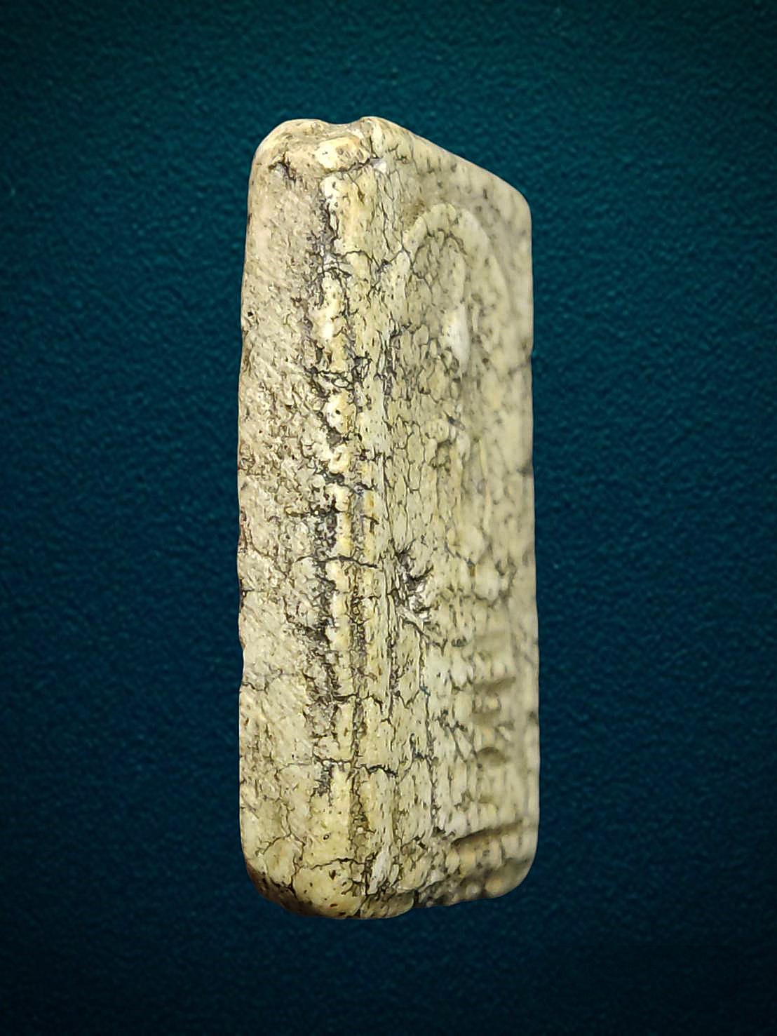 พระสมเด็จบางขุนพรหมพิมพ์ฐานคู่