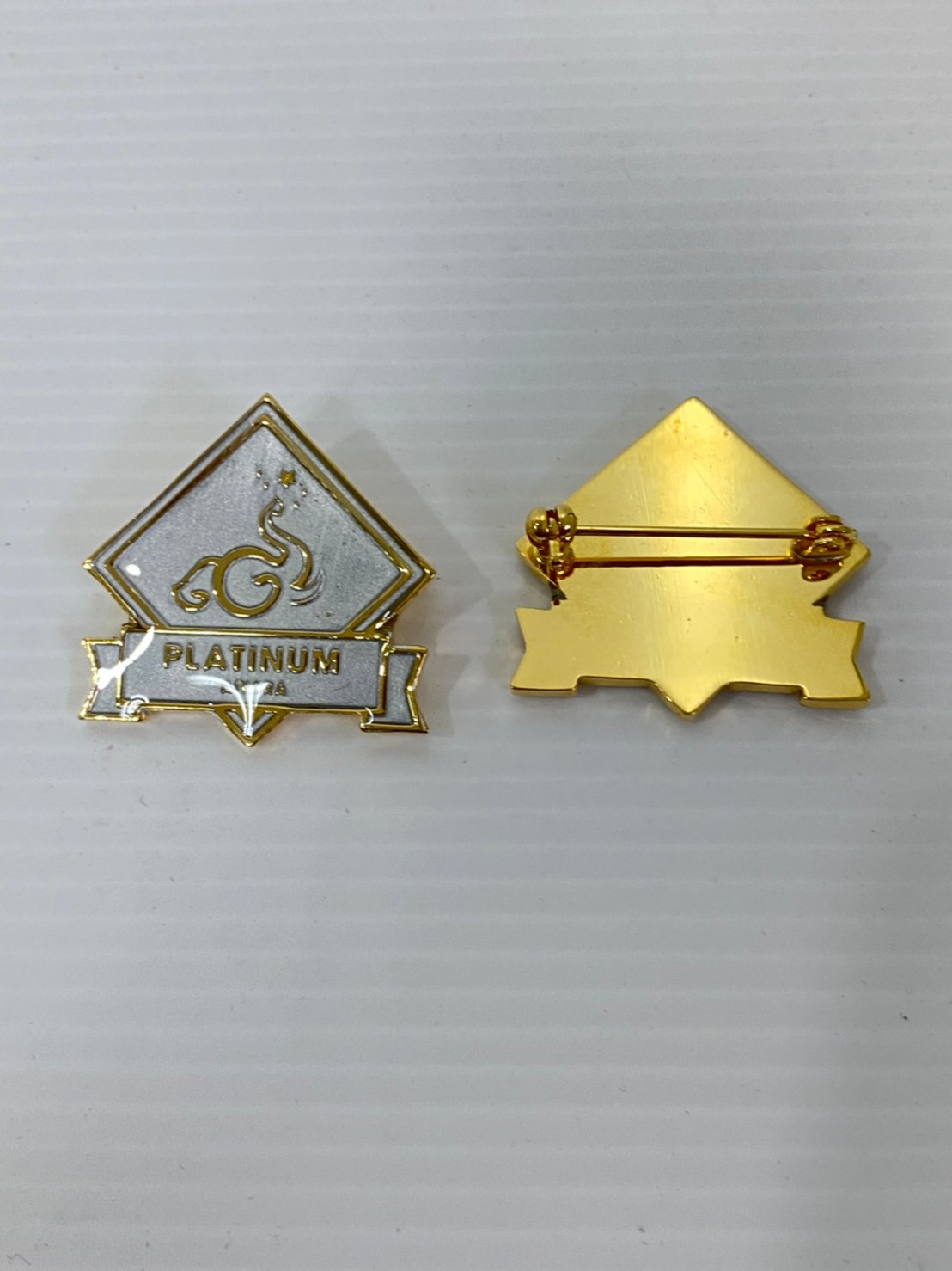 PIN065